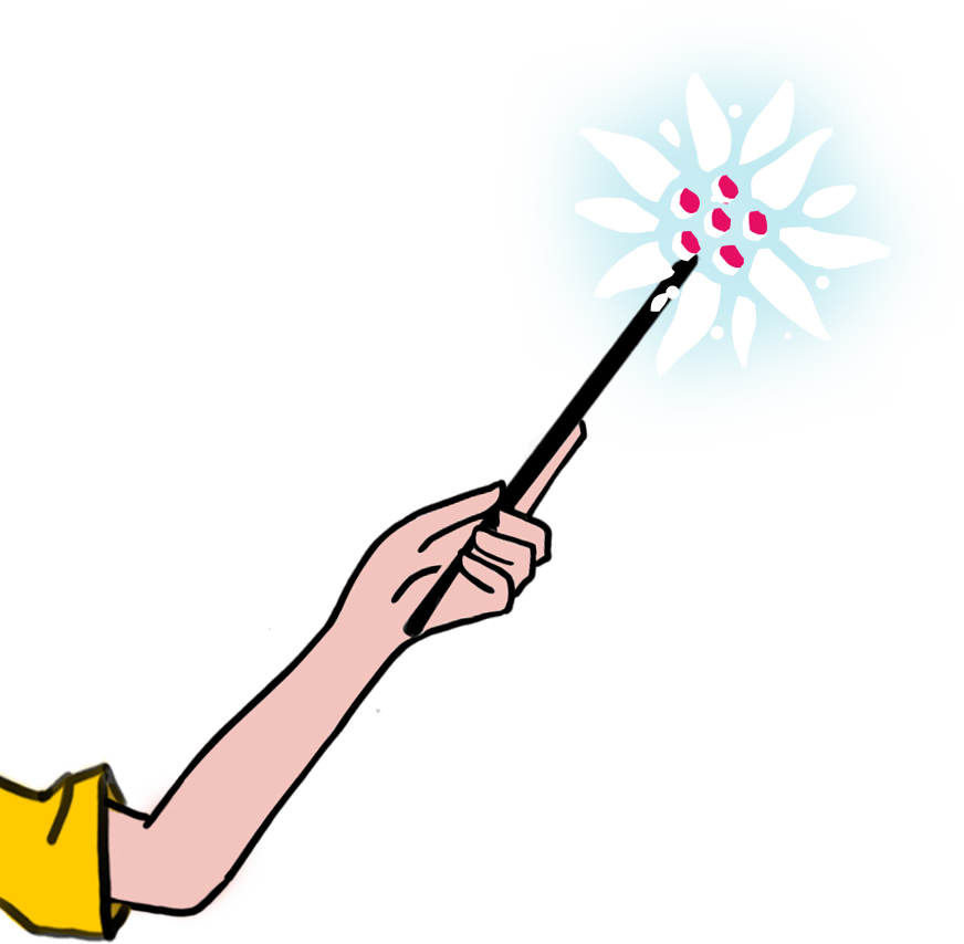 illustration fleur